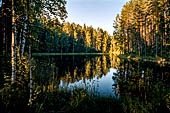 Punkaharju, Savonlinna. La zona nei pressi di Lusto, il museo della foresta finlandese. 